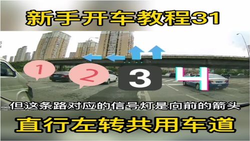 驾车游戏攻略新手教学下载,驾驶游戏大全中文版