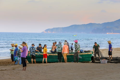 北海赶海攻略游戏小说推荐,北海赶海最佳时间