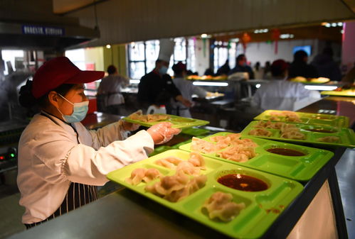 东湖学院美食餐厅游戏攻略,东湖学院怎样