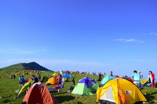 五一宁波露营活动游戏攻略,宁波露营基地,有水源