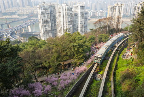 包含延边公路酒吧游戏攻略图的词条