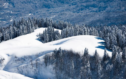 雪景照片视频合成游戏攻略,雪景相册制作