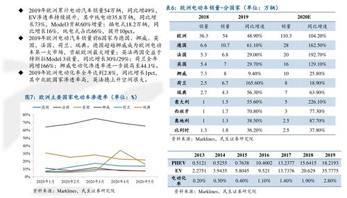 自驾租车价格明细表,神州租车网价目表2023