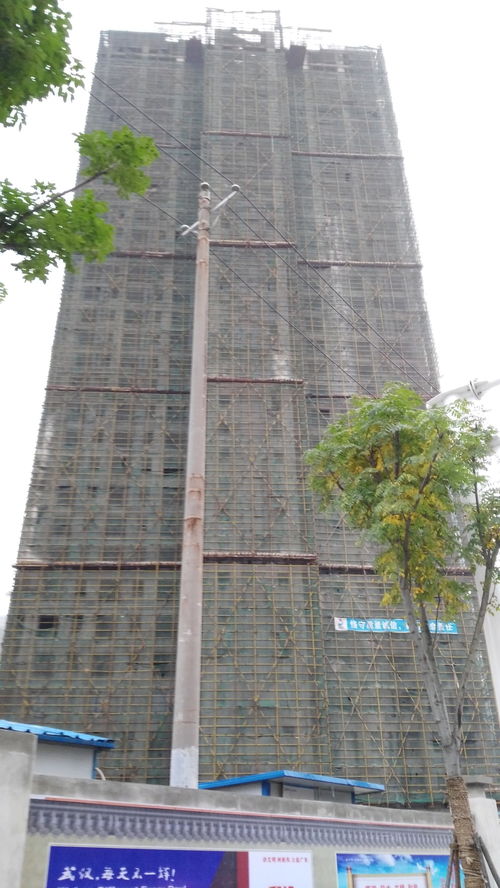 复地东湖国际七期,复地东湖国际七期交房时间