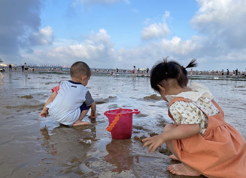 高要旅游攻略学生双人游戏,高要玩的地方