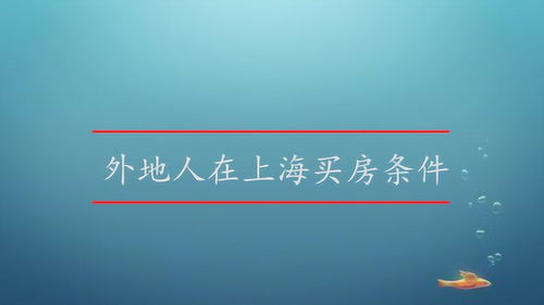 外地人在上海买房新政策,外地人在上海买房新政策出台