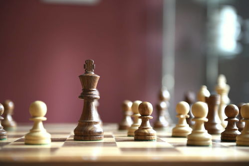 关于象棋攻略游戏的小说,象棋类长篇小说