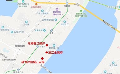 龙湖春江彼岸汉阳,武汉龙湖春江彼岸户型