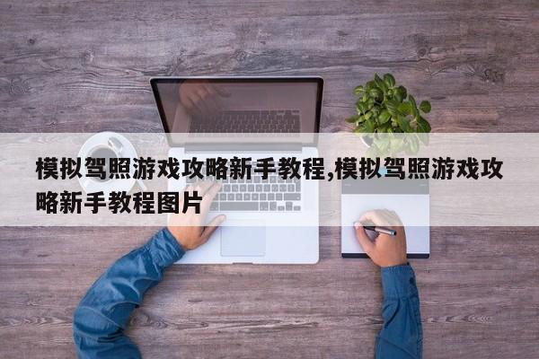 模拟驾照游戏攻略新手教程,模拟驾照游戏攻略新手教程图片