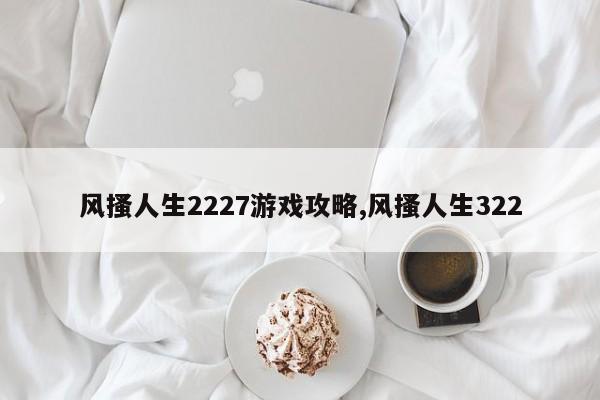 风搔人生2227游戏攻略,风搔人生322