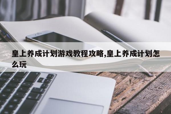 皇上养成计划游戏教程攻略,皇上养成计划怎么玩