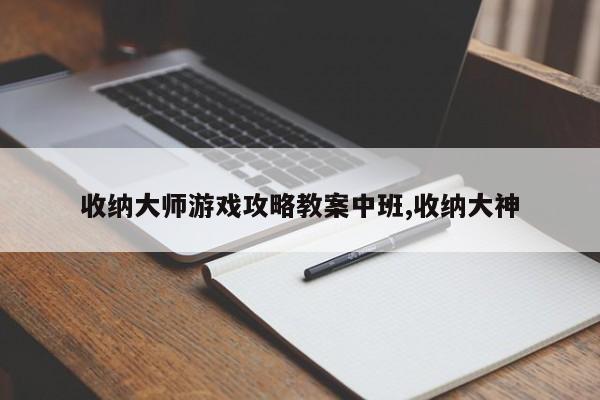 收纳大师游戏攻略教案中班,收纳大神